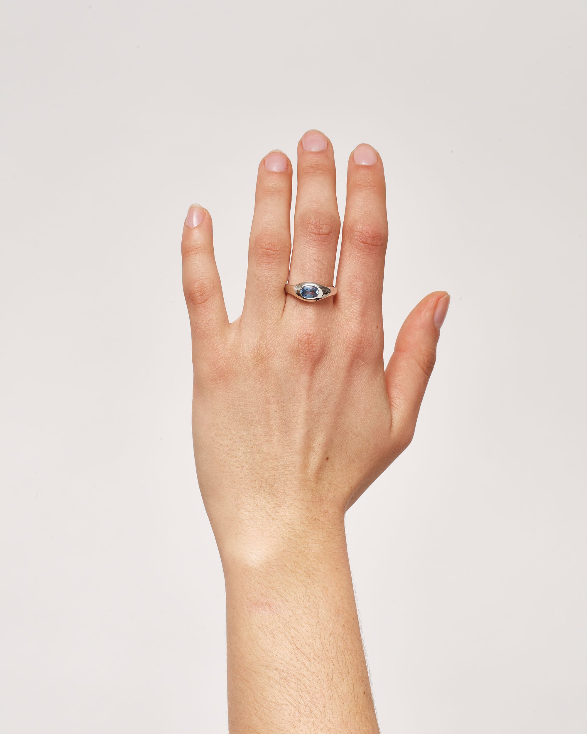 Silver Gemstone Rounded Signet 2