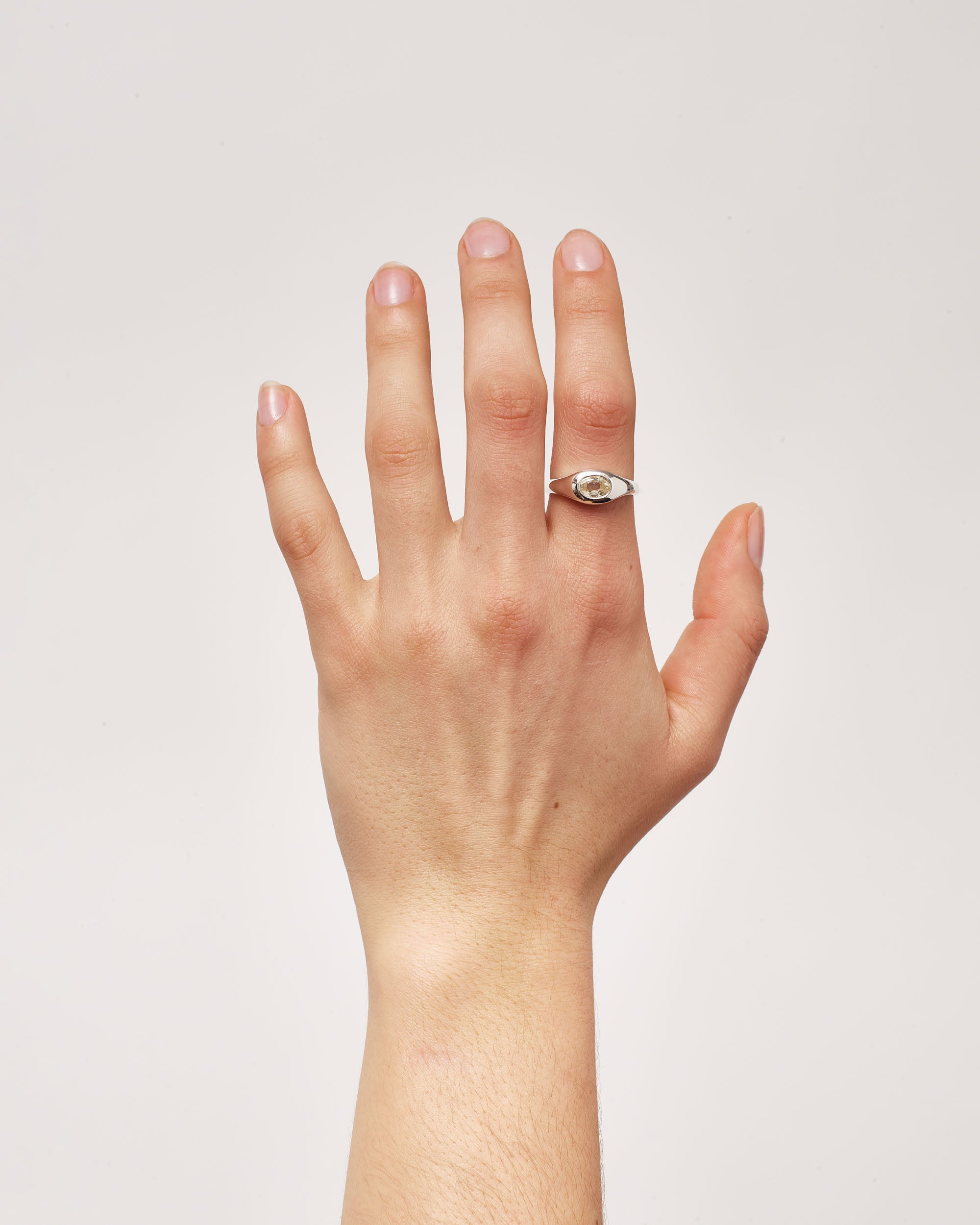 Silver Gemstone Rounded Signet 2
