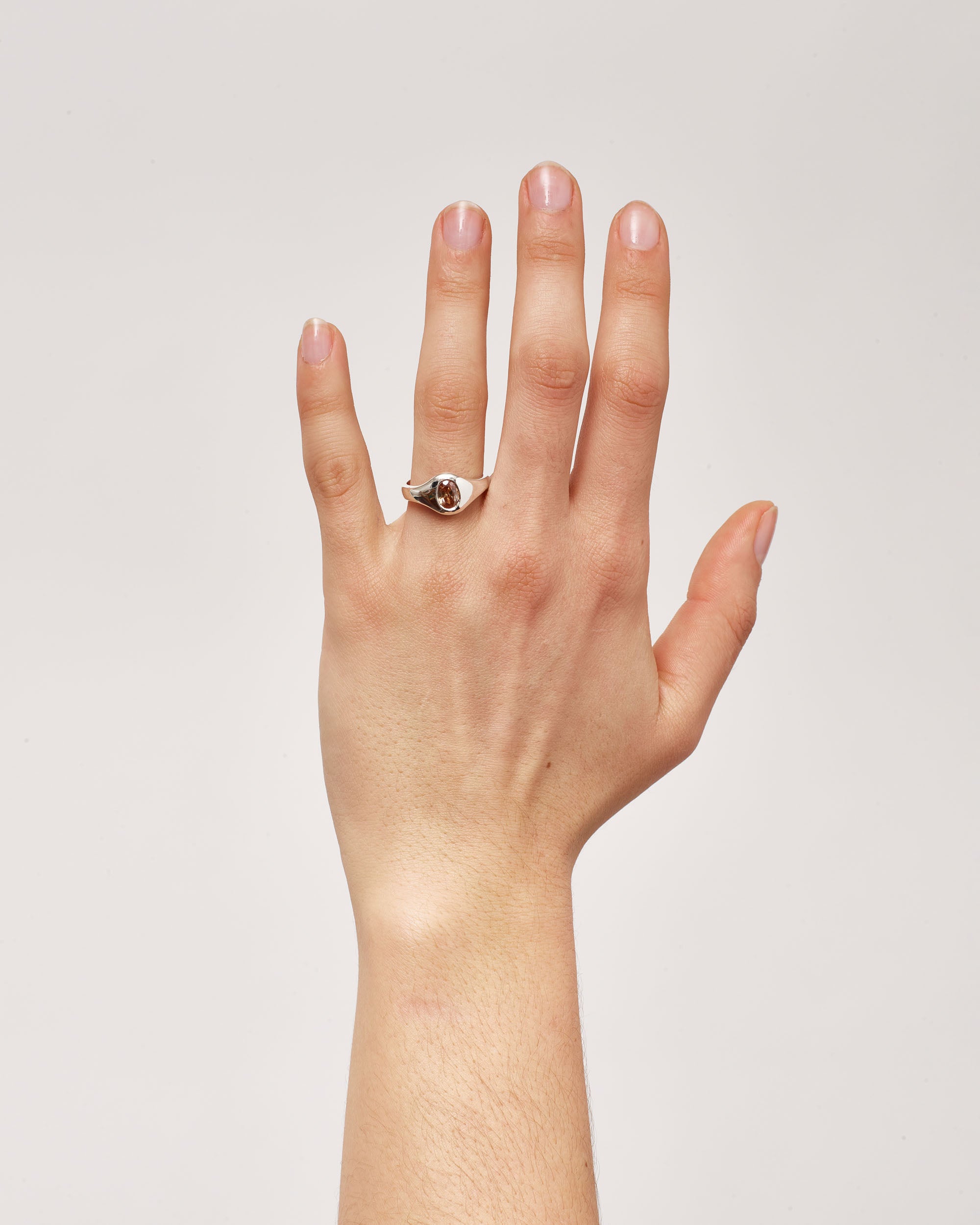 Silver Gemstone Rounded Signet 1